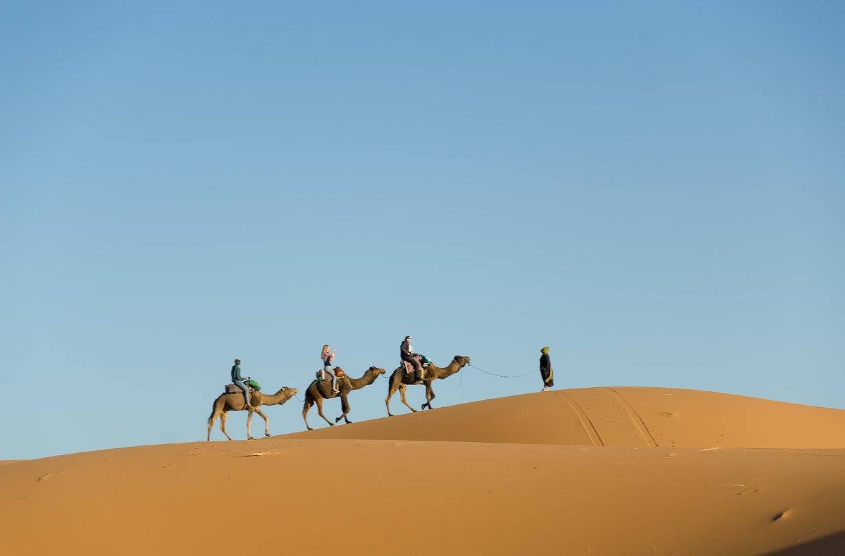 Jízda na velbloubovi Sahara Maroko
